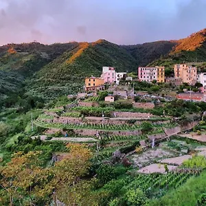Arbanella Affittacamere Corniglia